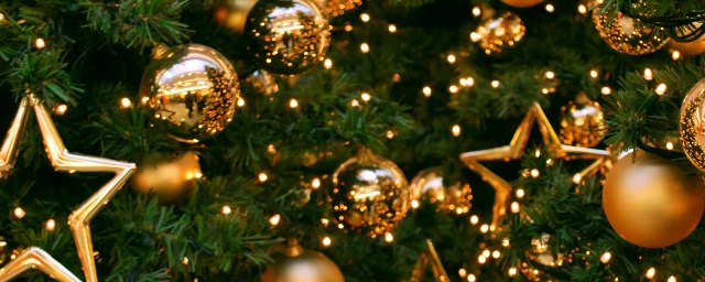 В Новороссийске появятся 20 креативных новогодних елок